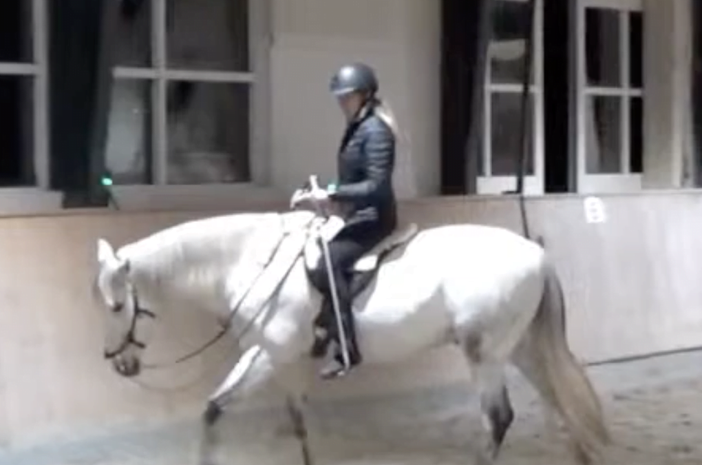 Straightness Training (ST) er vejen