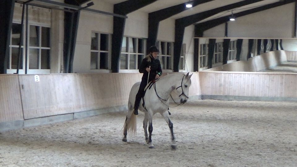 Om at ride med sædet