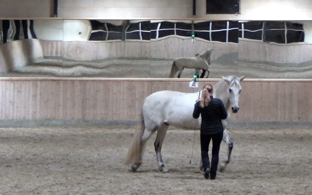 Træningsformer i Straightness Training