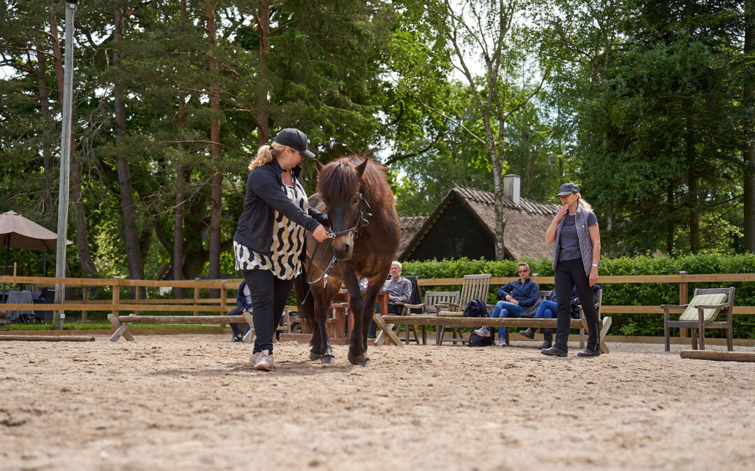 Hestevisdom holder kursus – Pilates for din hest  – 29. april 2023