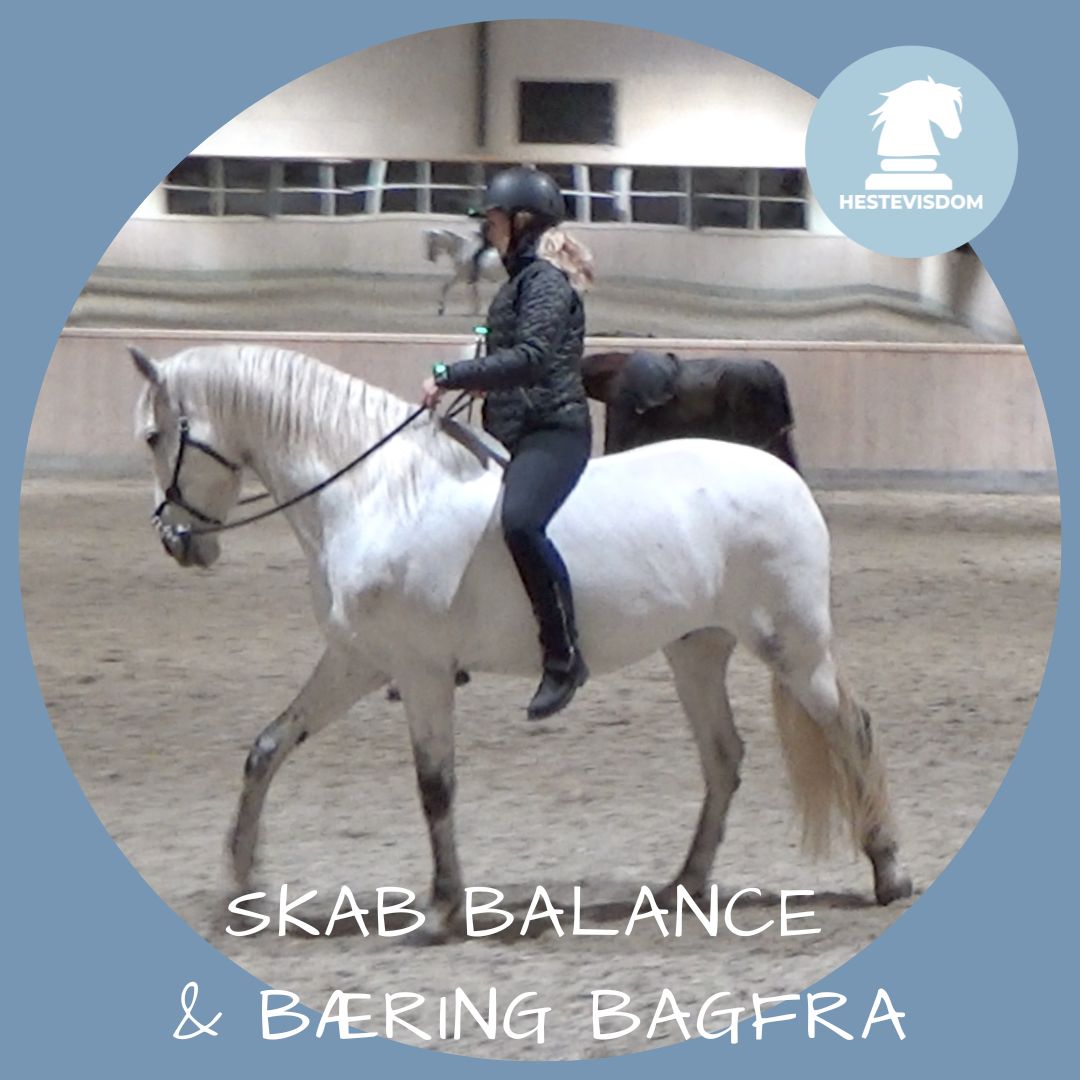 Skab balance og bæring bagfra Copy of 1 1 Instagram Post 6