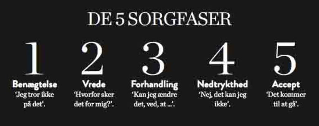 sorgens-5-faser-billede-1024x406 sorgens 5 faser billede 1024x406 1