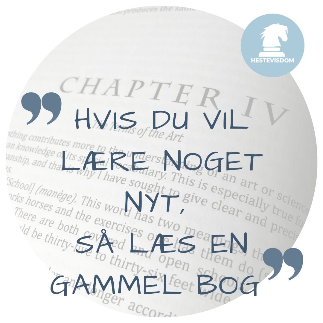 Copy of 1-1 Instagram Post-13 Hestevisdom og hesteforståelse - onlineprogram