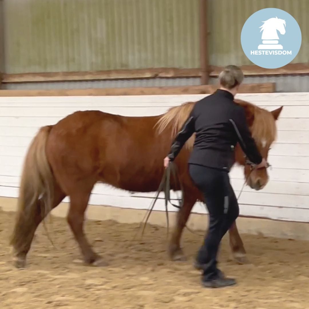 Copy of 1-1 Instagram Post-24 Straightness Training (ST) er vejen