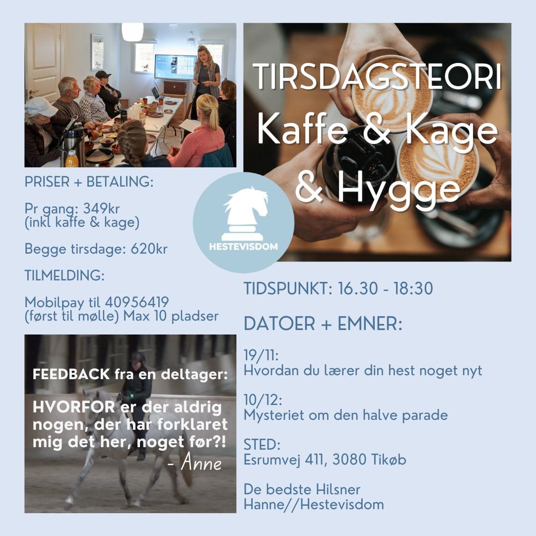 Hestevisdom Tirsdagsteori Hestevisdom onlineprogram