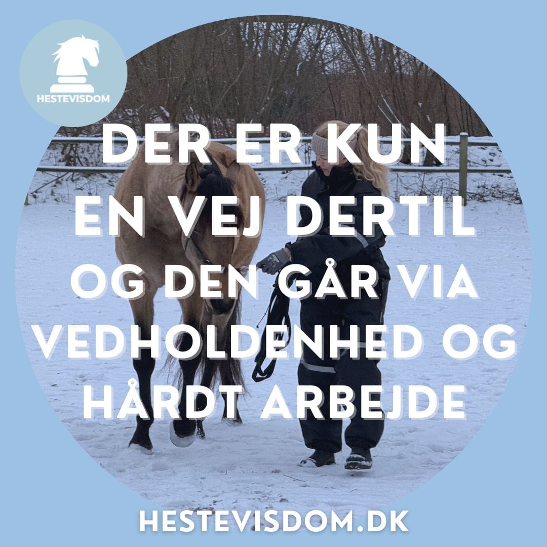 FacebookInstagram Post 1-2 FacebookInstagram Post 1 2