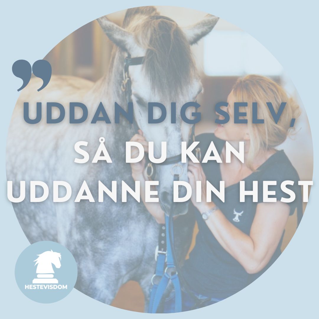 uddan-dig-selv-1 uddan dig selv 1