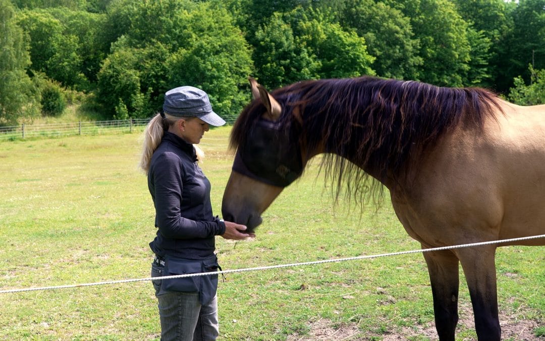 Nipper eller bidder din hest?