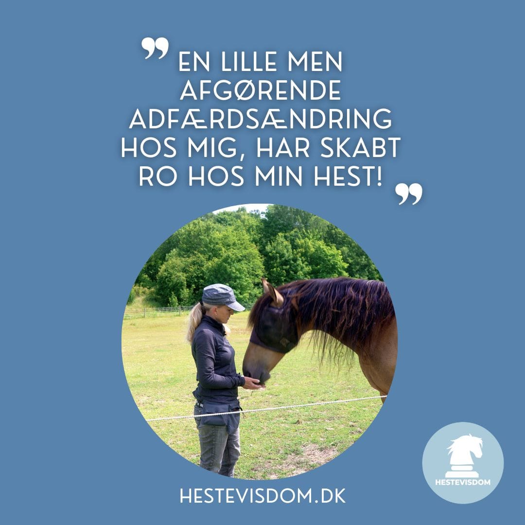 Kom i moede