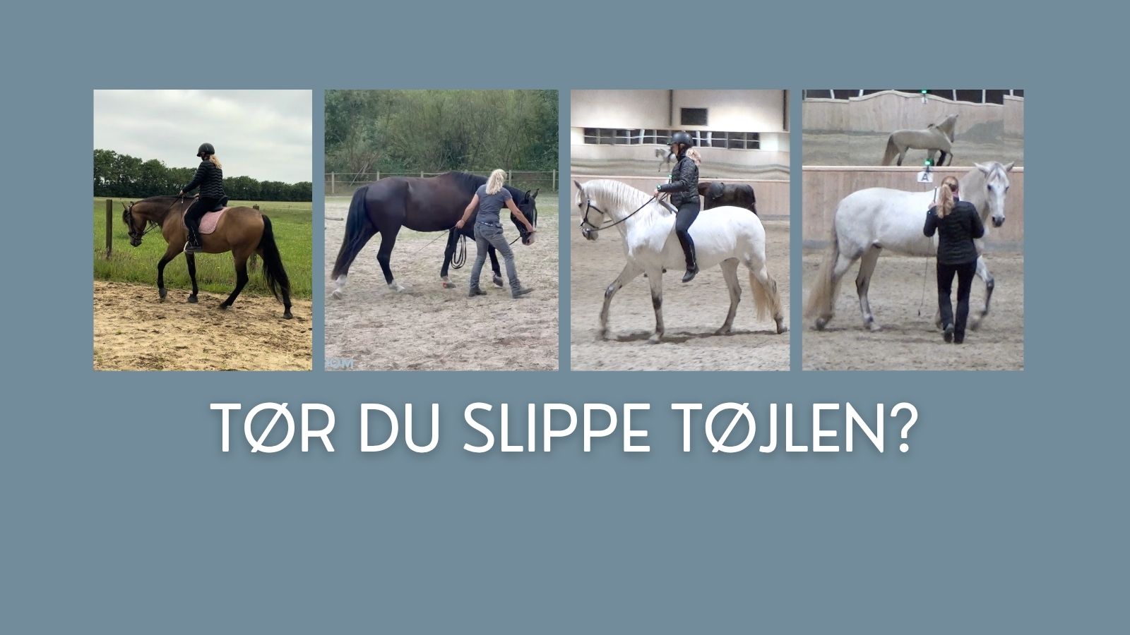 Home 2 Tør du slippe tøjlen?